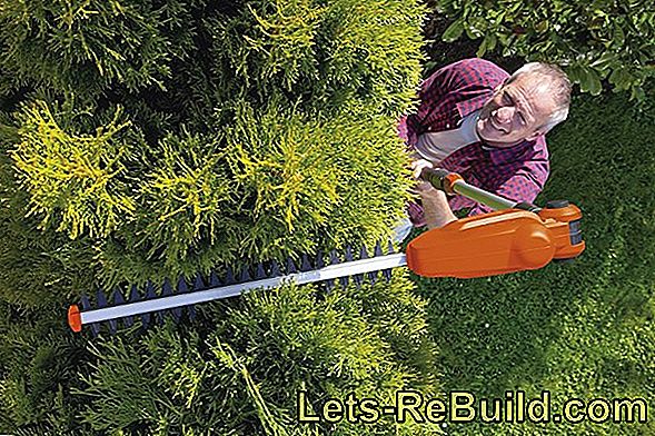 best telescoping pole hedge trimmer