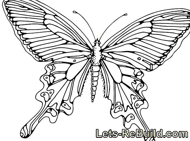 Gör fjäril - fjärilar av filt, papper och konstverk: German