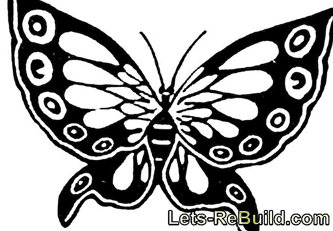 Gör fjäril - fjärilar av filt, papper och konstverk: German