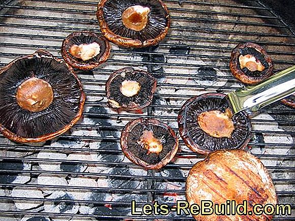 Veģetārie barbecue receptes - gaļas bez receptes: gaļas