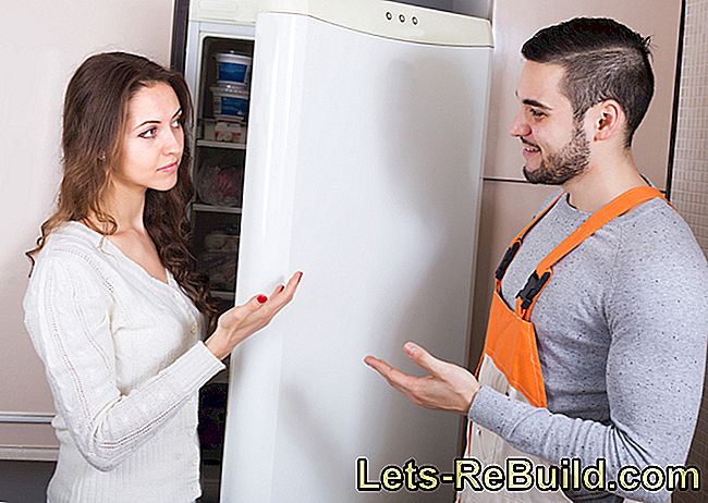 Dumpa kylskåpet - tar det med något?