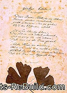 Johann Wolfgang von Goethe: Ginkgo biloba