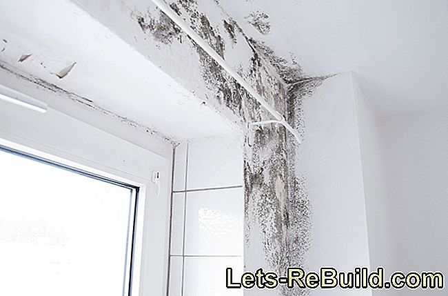 Water Damage » When Does The Insurance Pay Compensation