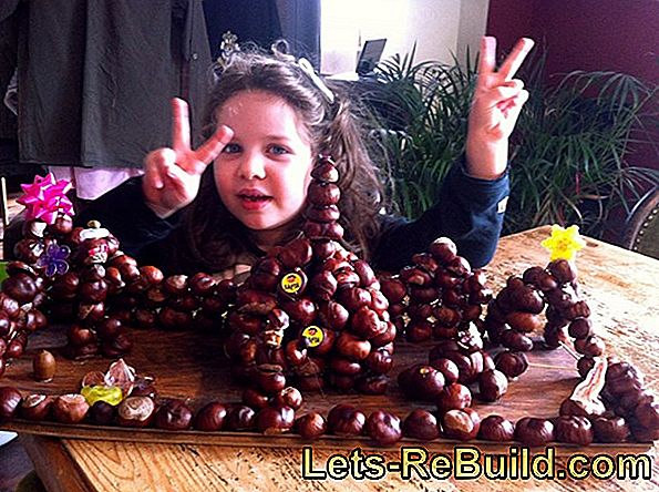 Kastanienmännchen-Bastelanleitung - Making animals with chestnuts