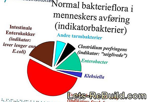 Enterokokker I Drikkevand » Fare Og Grænser