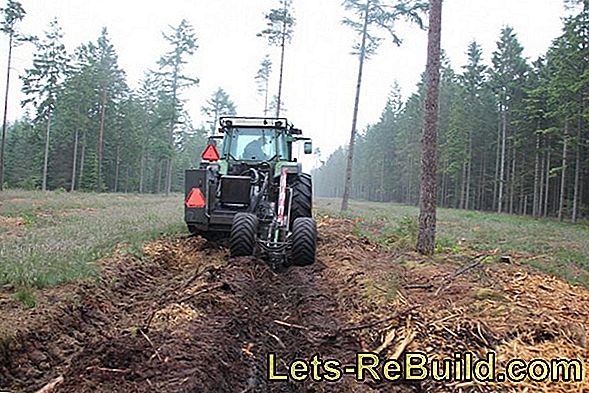 Grundlaget for lerjorden