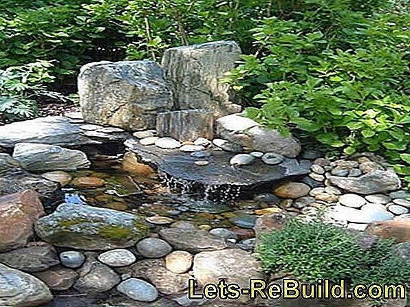 Rock garden: have design med sten