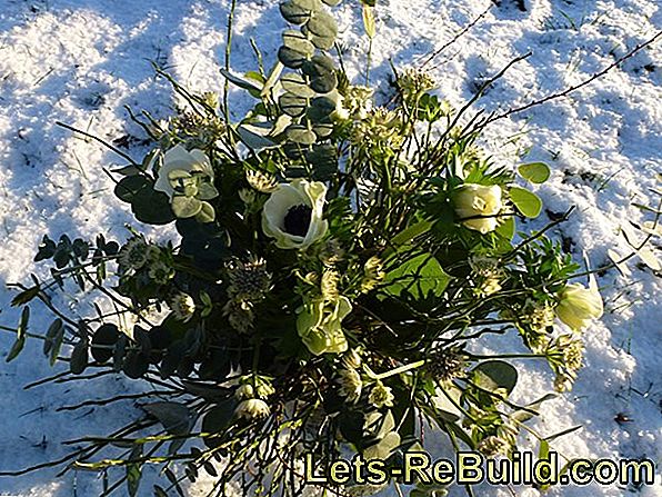 Smuk levende med blomster