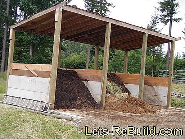 To build a horse stable: costs and planning
