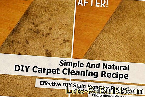 Carpet shampoo: effective and long-lasting cleaning