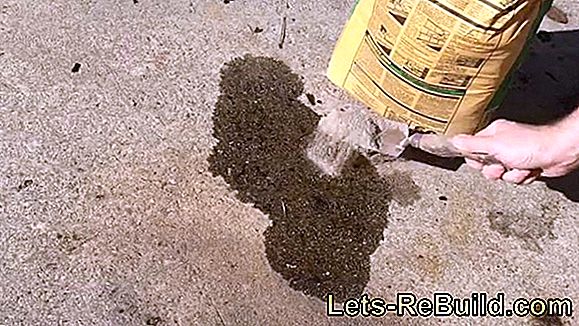 Concrete Oil » Why, When And How Do You Do It?