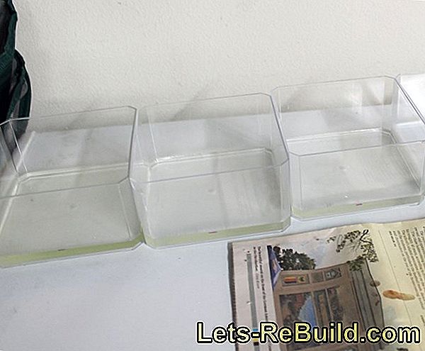 Epoxy Resin For The Terrarium » What Is It Suitable For?