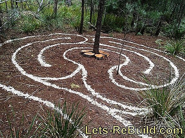 Labyrinth: Create a maze