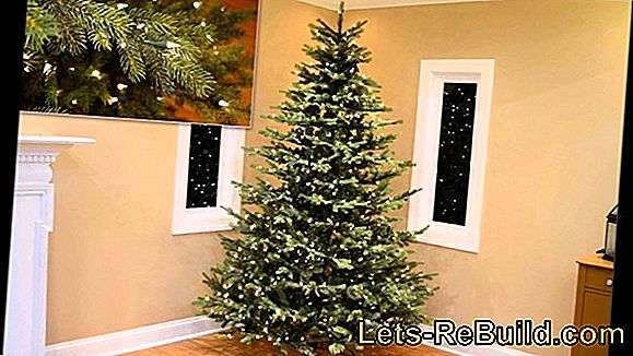 Buy Christmas tree
