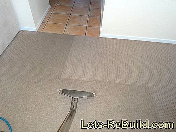 Steam Cleaner For Carpet Cleaning » A Good Idea?