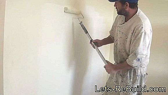 Paint plasterboard expertly