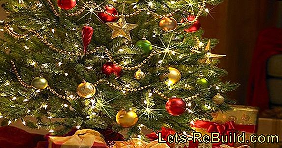 Los Alemanes Y Su Árbol De Navidad: Árboles Nativos Ecológicos.