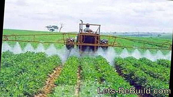 Pesticidas En El Agua Básica Y Potable » Todo Al Problema.