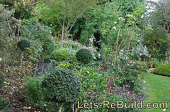 Le Rêve Du Jardin D'Hiver Ne Doit Pas Être Un Rêve!