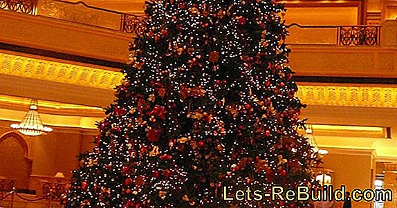 Decora L'Albero Di Natale » Regole Generali, Consigli E Trucchi