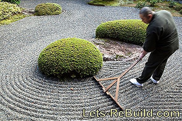 Japonų Sodas: „Zen Garden“