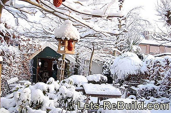 Winterklaar maken van de tuin: winterbereidingen en overwintering