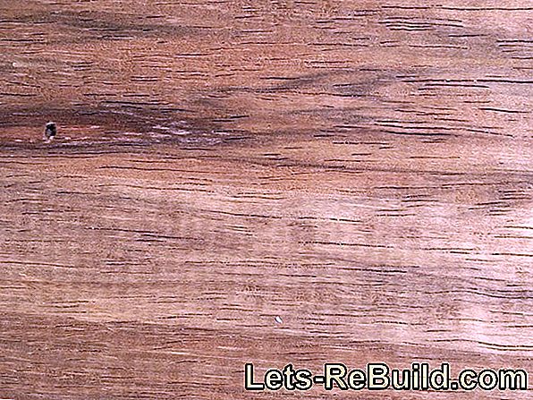 Limba-hout - belangrijk Afrikaans hout