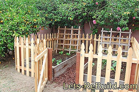 Pergola ve bahçe çiti: kendiniz bir çit inşa